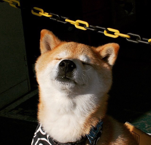 开云体育平台APP-跨界之战，从欧冠淘汰赛到篮球赛场—论稳字诀的制胜哲学